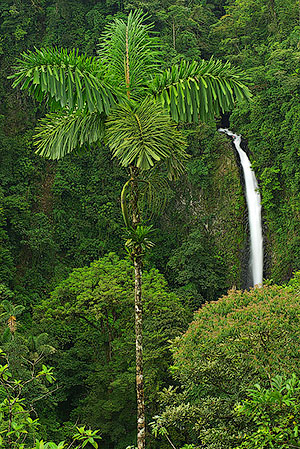 Parque Nacional Volcán Arenal