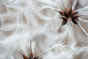 Parque Natural de Somiedo. Asturias