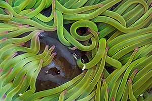 Playa del Silencio. Asturias