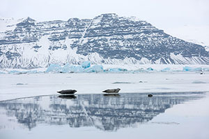 Lago Jökulsárlón