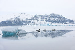 Lago Jökulsárlón