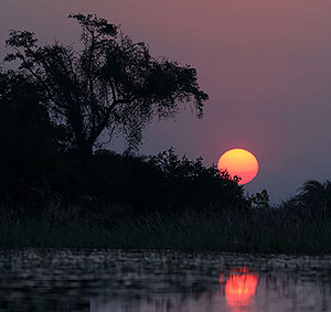 Delta del Okavango. Botswana