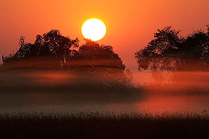 Delta del Okavango. Botswana