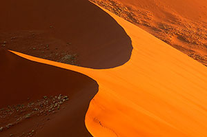 Sossusvlei. P.N. Namib-Naukluft. Namibia