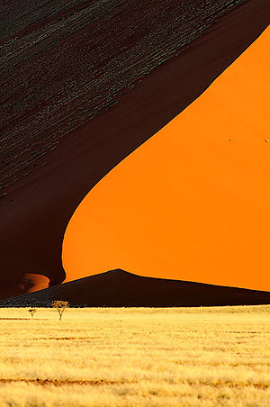Sossusvlei. P.N. Namib-Naukluft. Namibia