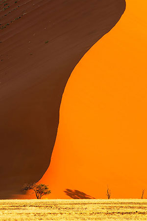 Sossusvlei. P.N. Namib-Naukluft. Namibia