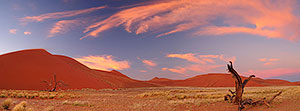Sossusvlei. P.N. Namib-Naukluft. Namibia