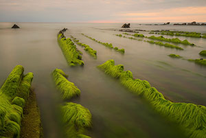 Playa de Barrika. Bizkaia