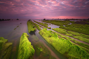 Playa de Barrika. Bizkaia