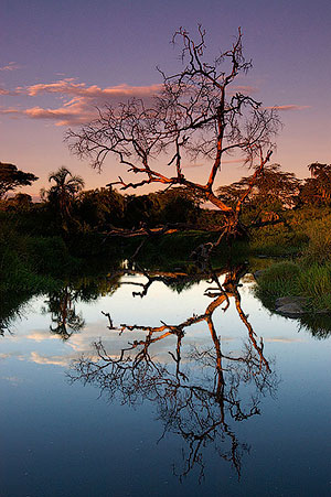 Parque Nacional del Serengeti